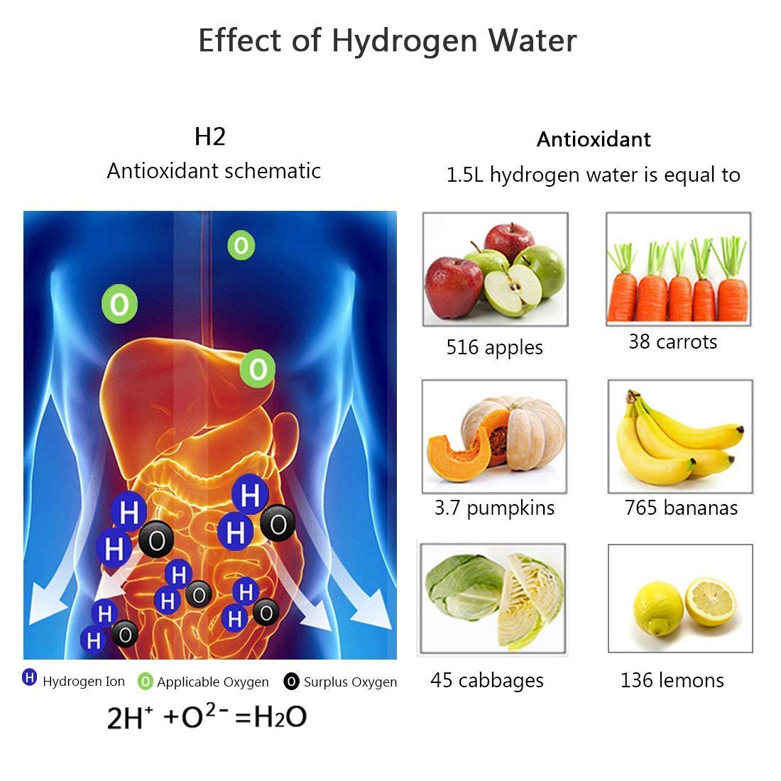 Kleyn Hydrogen Water Generator